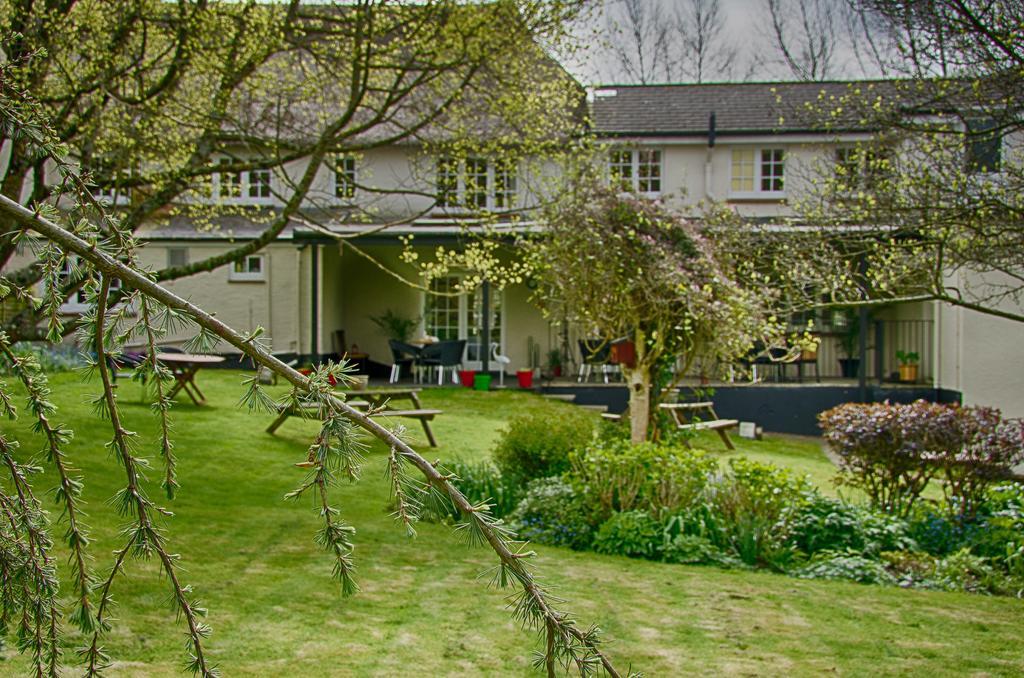 Tumbling Weir Hotel Ottery St Mary Exterior foto