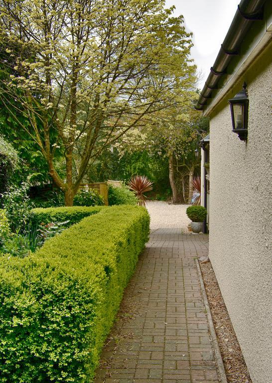 Tumbling Weir Hotel Ottery St Mary Exterior foto