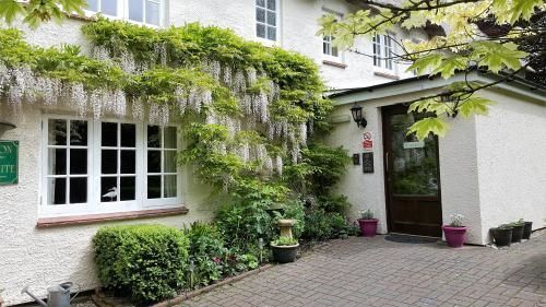 Tumbling Weir Hotel Ottery St Mary Exterior foto